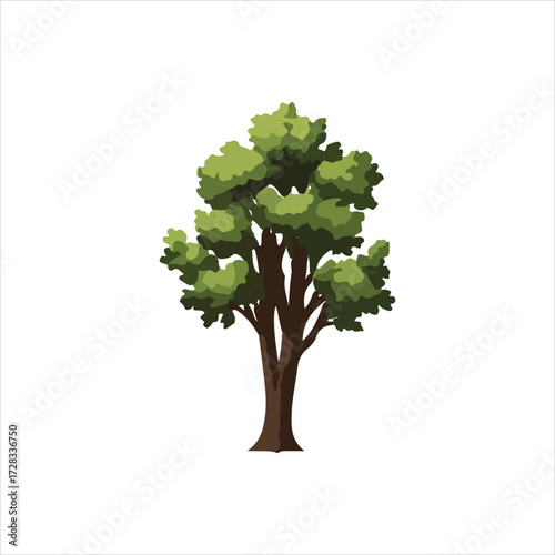 Illustration of a deciduous tree with a brown trunk and a full, green leafy canopy against a white background.