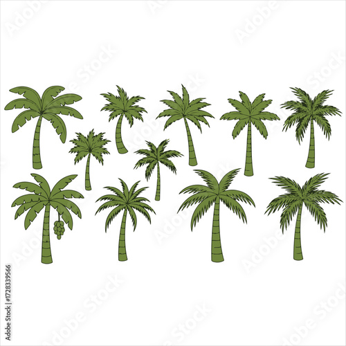 Palm tree. Cartoon tropical coconut palm and banana trees with green leaf and trunks, beach plants. Summer, exotic island, jungle nature vibe for travel, vacation, eco design.