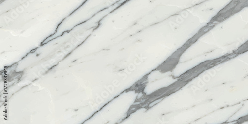 Elegant White Marble with Striking Gray Veins