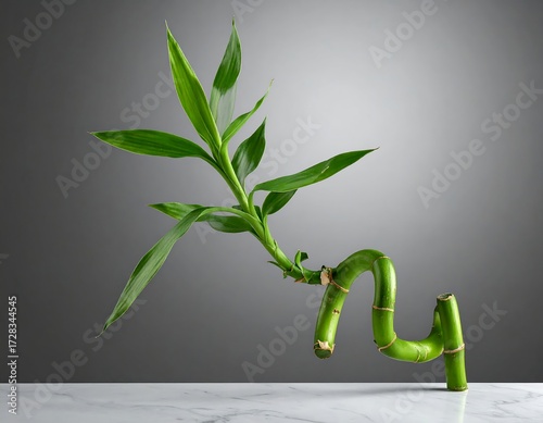 A vibrant green bamboo shoot with a gracefully curved stem rests on a marble surface against a muted gray backdrop