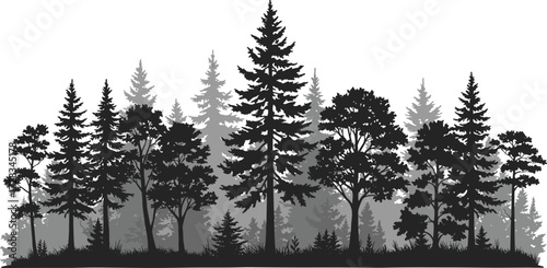 Forest silhouette landscape, layered tree illustration, black and gray foliage scene, coniferous and broadleaf trees, editable nature vector, woodland background