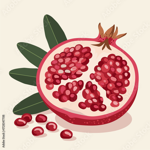 Vibrant half pomegranate with juicy red arils and green leaves. Fresh healthy fruit vector illustration for food and nutrition.