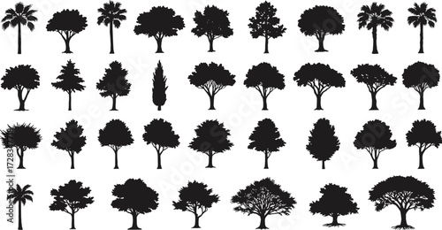 Tree silhouette set, diverse forest and garden trees, conifers, palms, deciduous shapes, vector illustration, botanical reference, landscape design, nature icons