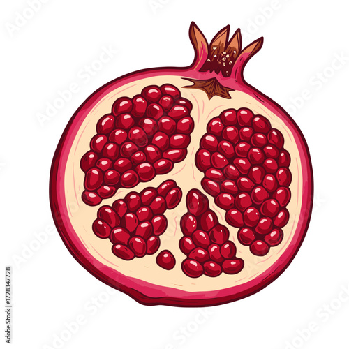 Half Pomegranate Illustration with Red Arils. Fresh Cut Organic Fruit Cross-Section Isolated on White.