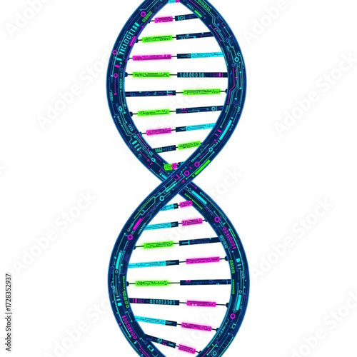 dna helix on white background