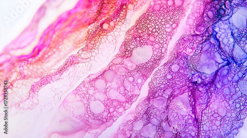 Coral reef calcification process under polarized microscopy