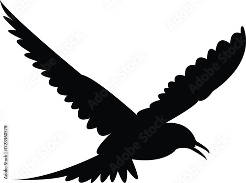 Flying Antarctic tern Bird Silhouette Design And Vector Illustration. 