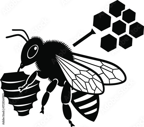 Vector art of black and white bee with honeycomb