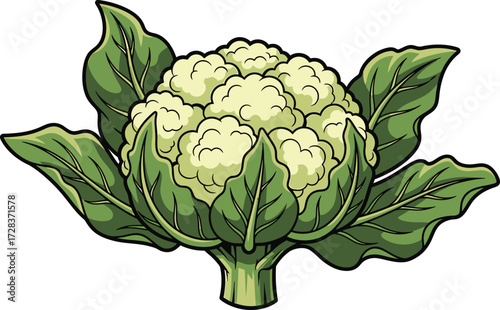 artichoke on a green leaf