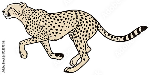 cheetah vinyl ready vector illustration