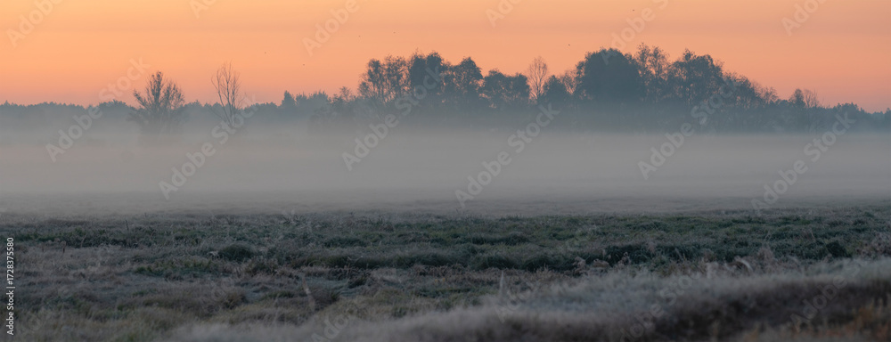 Fototapeta premium A foggy autumn morning. The first frosts.