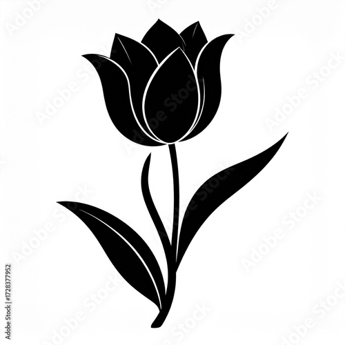 Vector Tulip Flower Silhouette with Elegant Curved Black Design on White Background