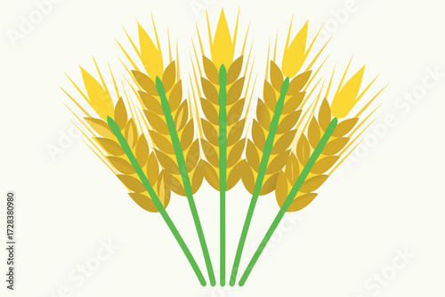 Fan of golden wheat ears with green stems on white Background Keywords: wheat, grain, cereal