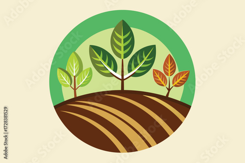 Three trees in different stages of growth on a plowed field