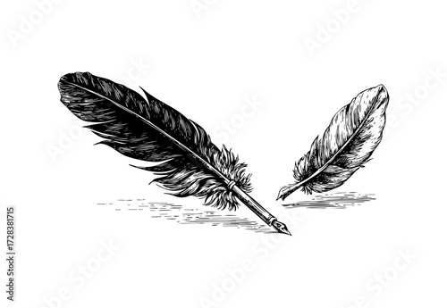 Ink Quill And Feather