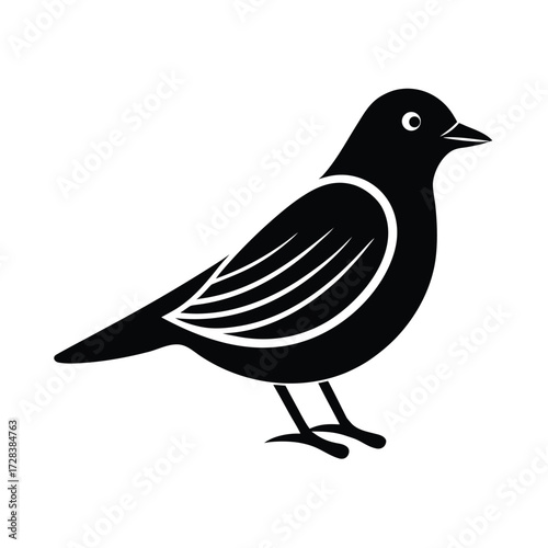 Bird Study Icon