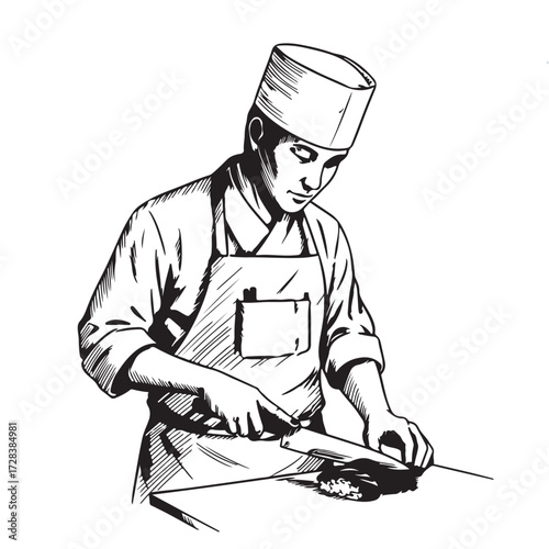 Vector chef is cooking
