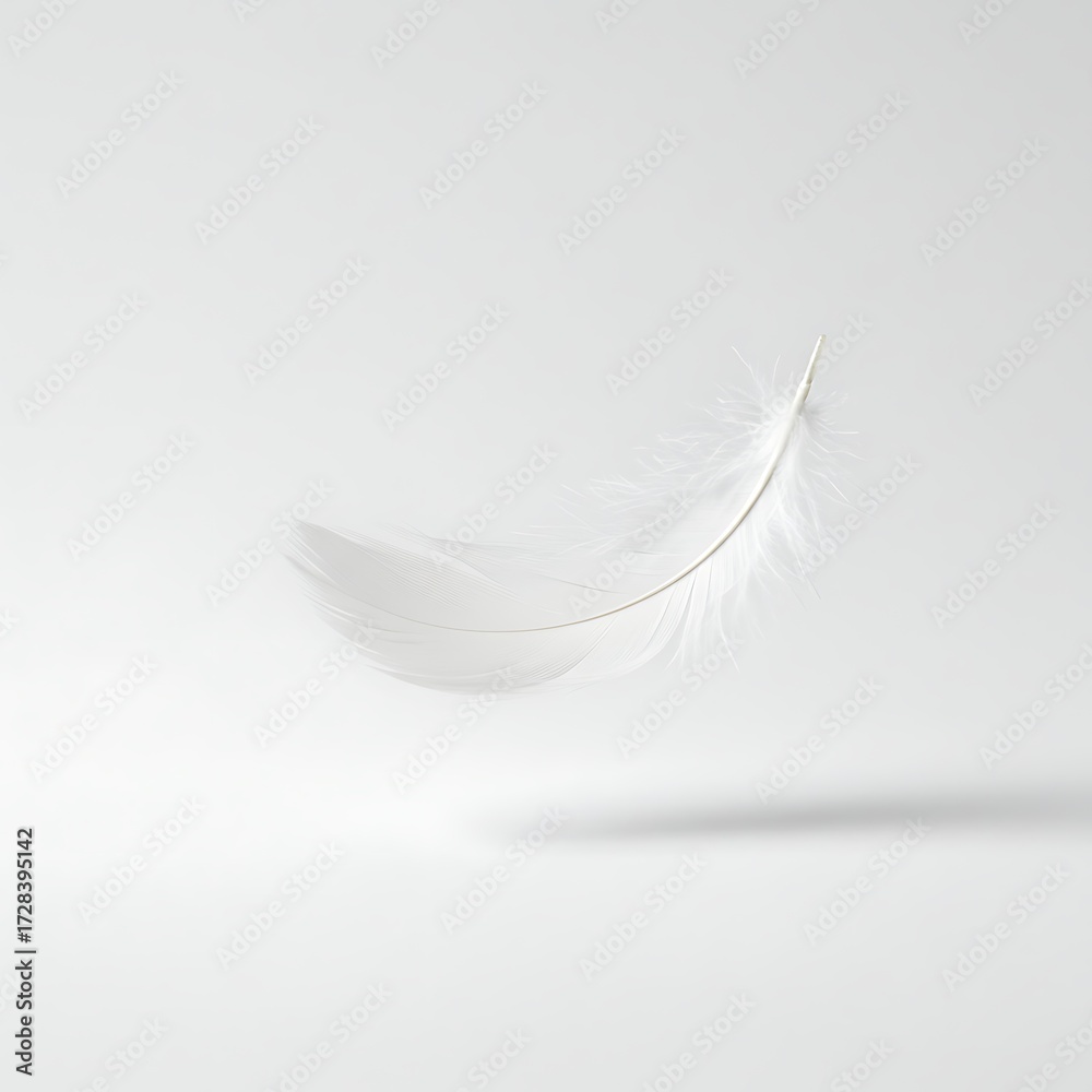 Obraz premium Floating Feather White Isolated Delicate Lightness