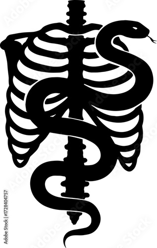 Snake crawling inside human ribcage silhouette - dark art vector with white background 