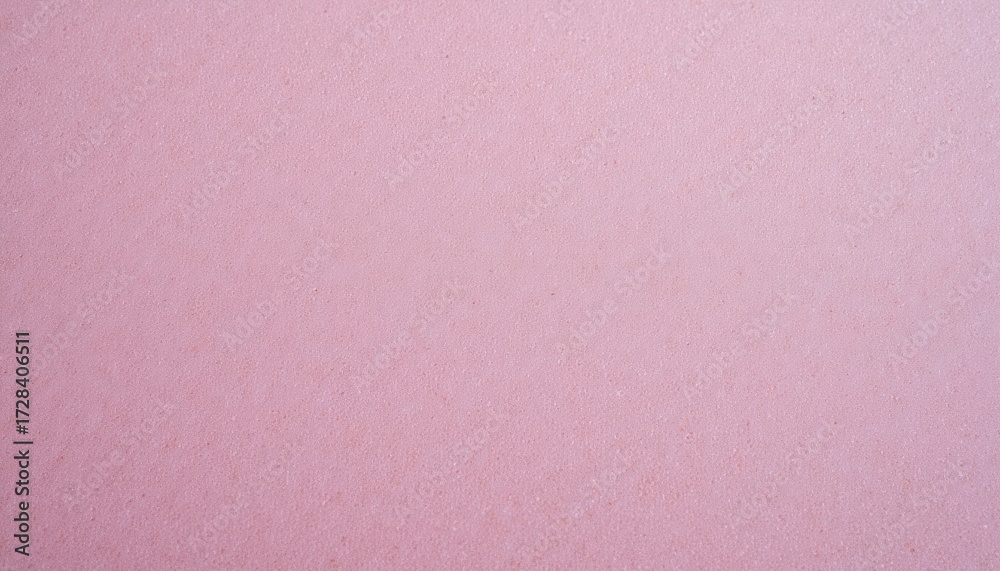 Fototapeta premium Delicate white flower on vibrant pink, a stunning floral photography for backgrounds and designs