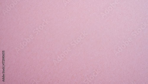 Delicate white flower on vibrant pink, a stunning floral photography for backgrounds and designs