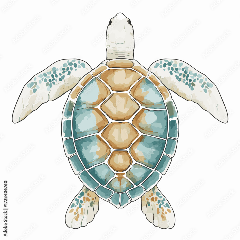 Fototapeta premium Watercolor Detailed Sea Turtle with Turquoise Shell Animal Illustration