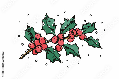 Detailed Watercolor Holly Berry and Leaf Sprig Christmas Decoration Art