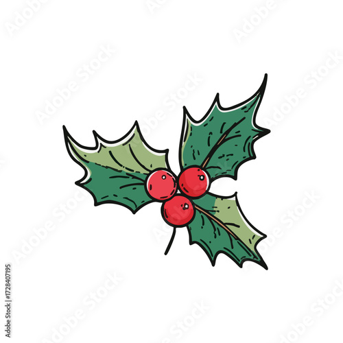 Handdrawn Festive Holly Berry Sprig Illustration for Christmas Decoration