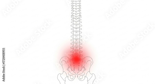 Anatomical drawing of a spine and pelvis with a red glow indicating pain location in the lower back region created with generated ai