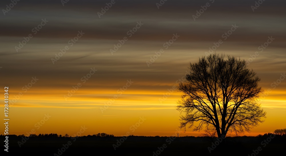 Naklejka premium Silhouette tree sunset landscape