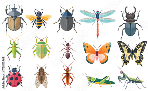 Set of flat vector illustrations of insects