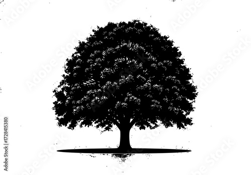 Vector art of silhouette of a large tree with dense branches and rounded canopy