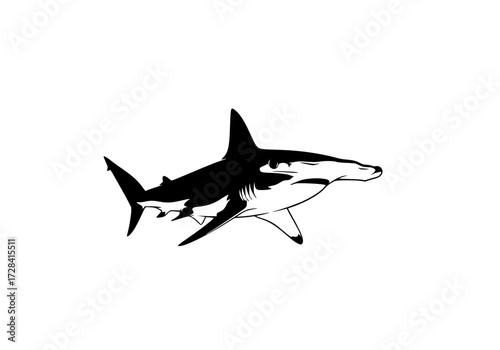 Vector art of realistic great white shark illustration with detailed texture and sleek design