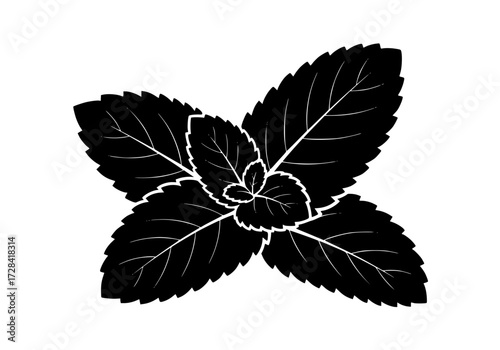 Vector art of black silhouette of mint leaf with five pointed structure