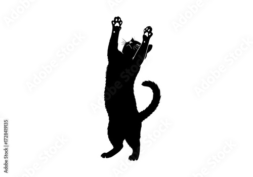 Vector art of black silhouette of cat standing on hind legs