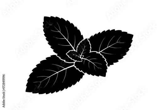 Vector art of black silhouette of four mint leaves cluster