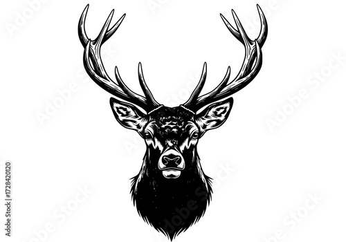 Vector art of majestic deer head illustration with intricate antlers