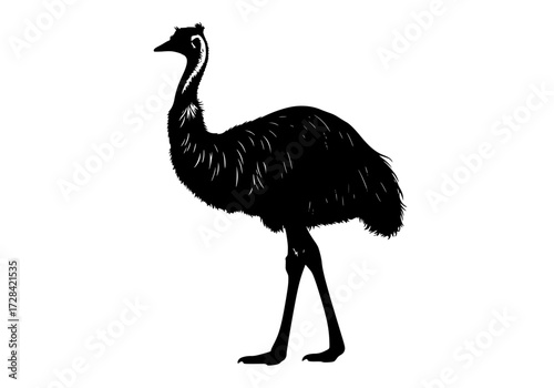 Vector art of silhouette of an emu standing in side profile view
