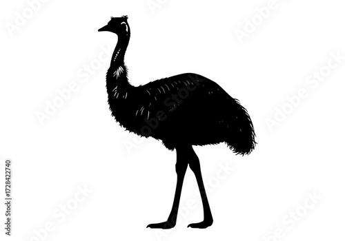 Vector art of silhouette of an emu bird standing