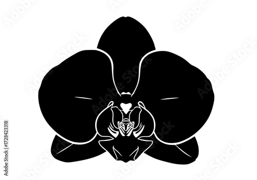 Vector art of elegant black orchid flower silhouette