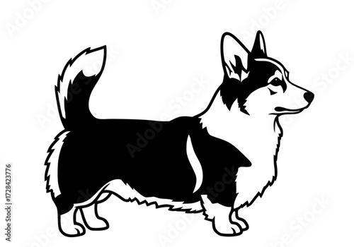 Vector art of black and white line art illustration of a welsh corgi dog