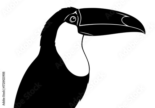 Vector art of black and white toucan head illustration