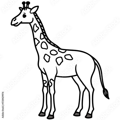 Giraffe Standing Outline Vector