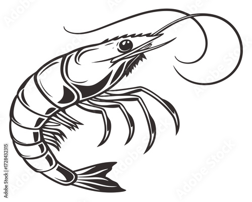 shrimp vector illustration