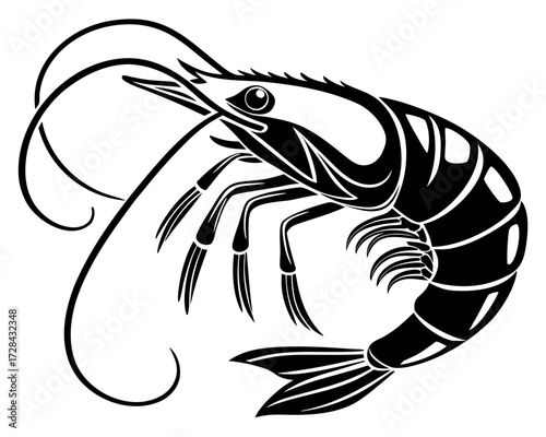 fish vector illustration