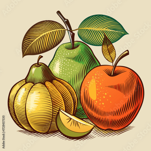 Engraved style rustic pears and apples together vector illustration scalable graphic for harvest and autumn themes