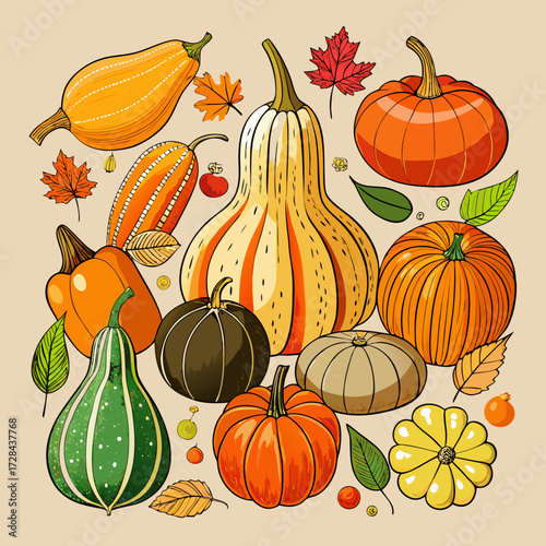 Hand-drawn rustic gourd and squash collection vector illustration for autumn harvest designs