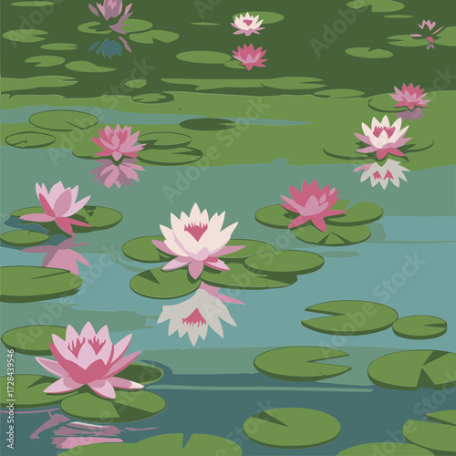 Pink and white water lilies on a tranquil pond, in various stages of bloom. Peaceful water lily pond scene with lily pads and reflections.