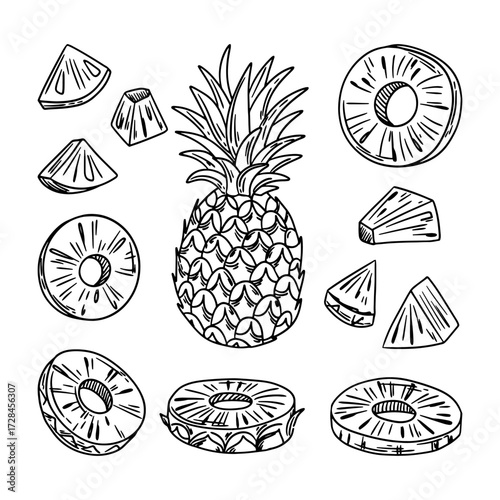 Set of vector pineapples. Sketch of pineapple slices, cubes and whole pineapple. Vector illustration.