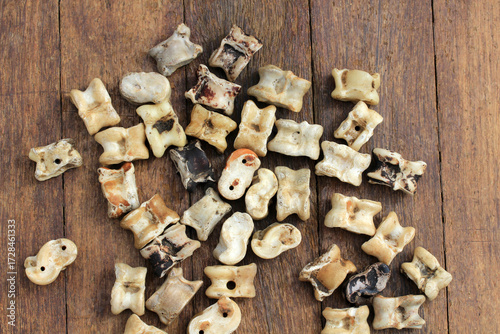 In ancient Central Asia, children used to play with the bones in sheep's feet. These small bones at the joints are called 